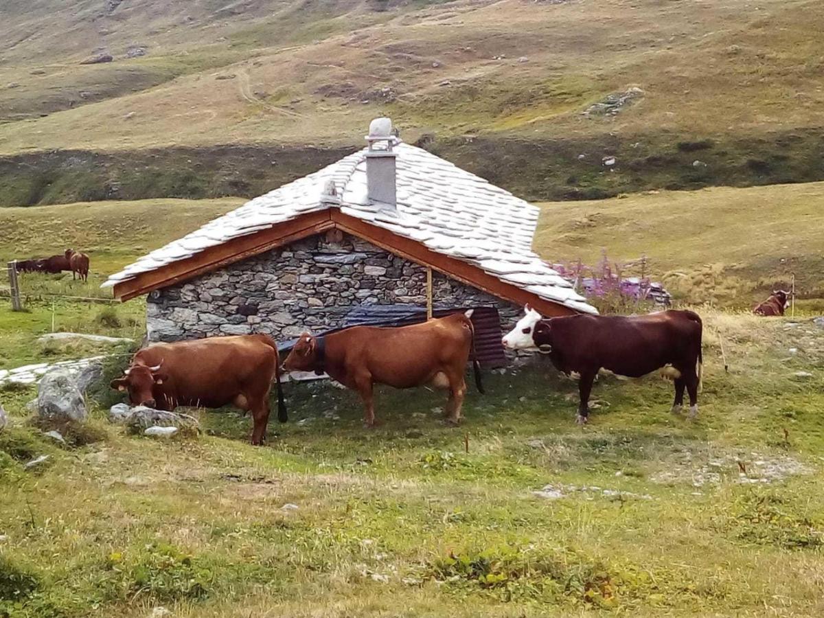 Les Balcons Proche Parc National Vanoise Appartements 2 Pieces 6 Pers Montagne Superieur Termignon Exterior foto