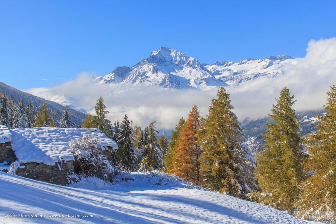 Les Balcons Proche Parc National Vanoise Appartements 2 Pieces 6 Pers Montagne Superieur Termignon Exterior foto